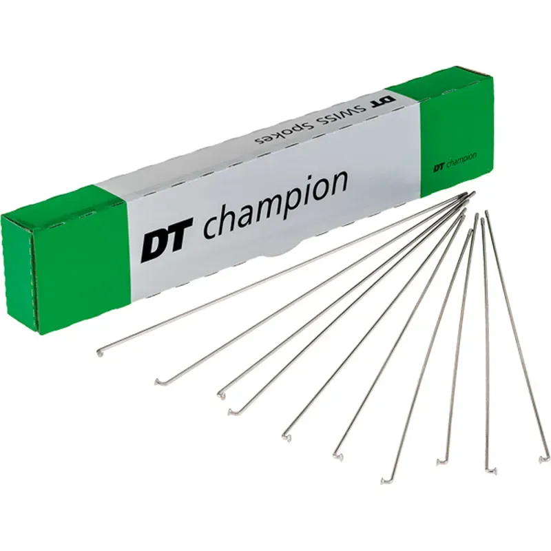 DT Swiss Champion 100-pack Silver Spokes - 2x290mm