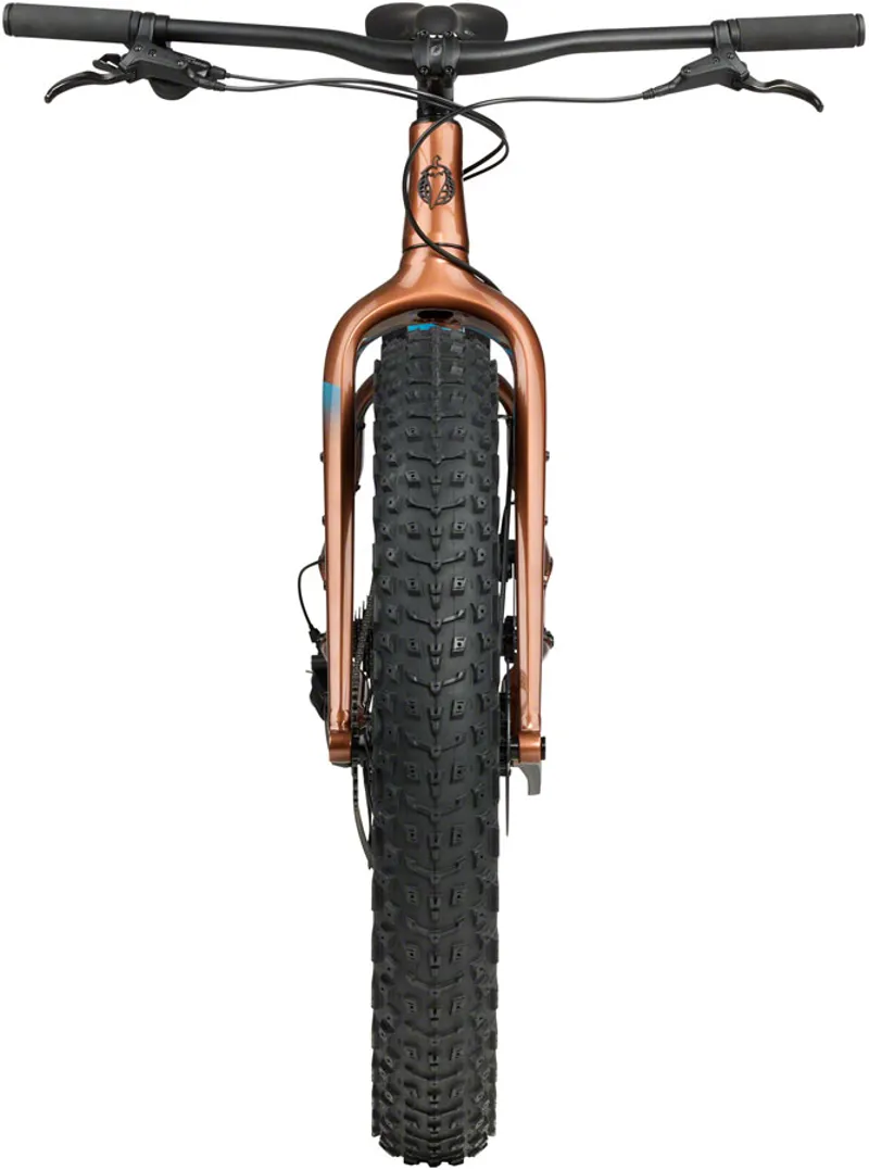 Salsa Heyday Cues Fat Tire Bike - 26 Aluminum Bronze-3