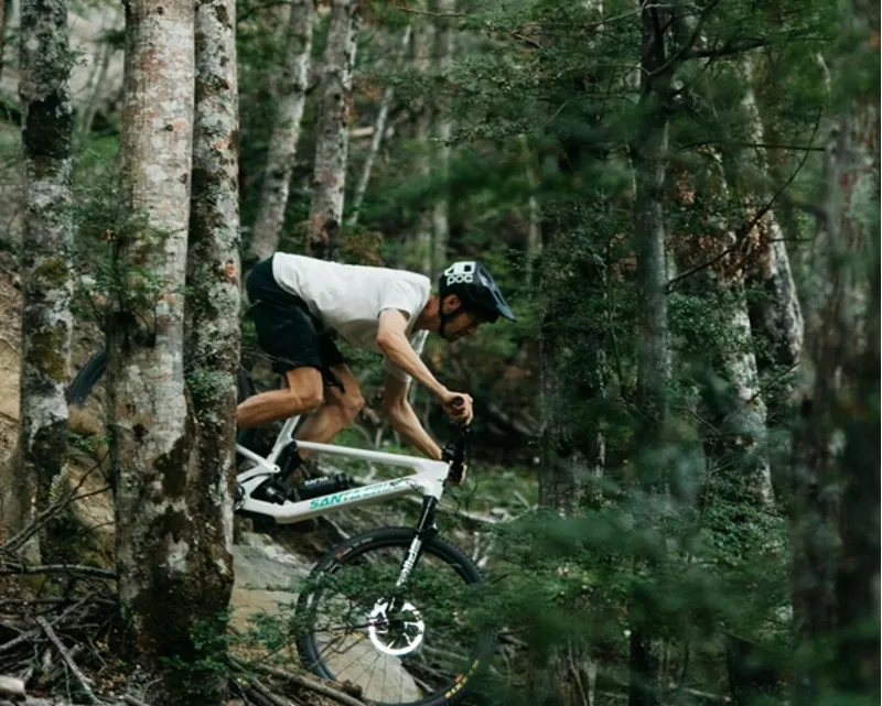 2024 Santa Cruz Tallboy 5 C R in Melon-2