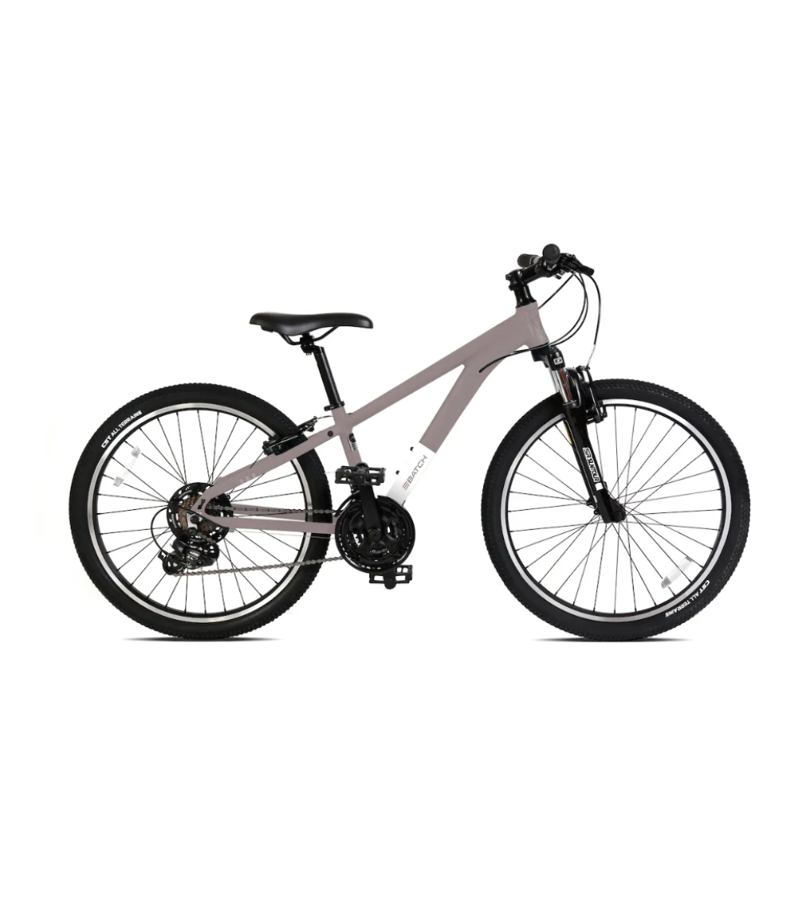 Youth Mountain Bicycle + Violet Vaper Grey