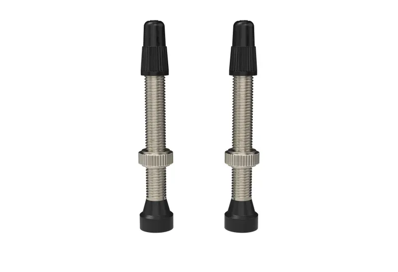 Wtb TCS Standard Presta Valve Stem 46mm Pair in Silver
